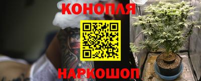 круглые Камышлов